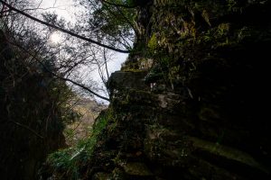 歪曲補正オフ 24mm